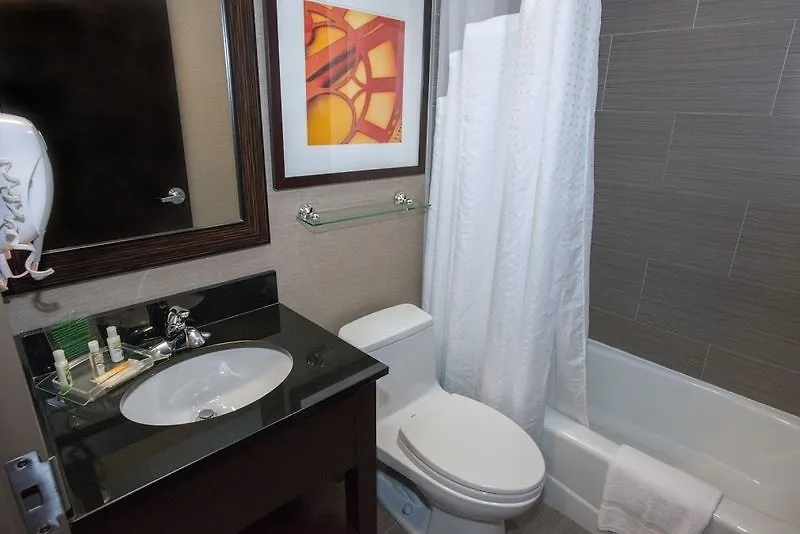 Holiday Inn New York-Jfk Airport Area, An Ihg Hotel