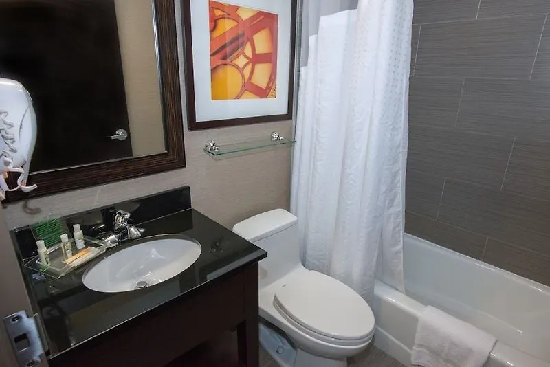 Holiday Inn New York-Jfk Airport Area, An Ihg Hotel